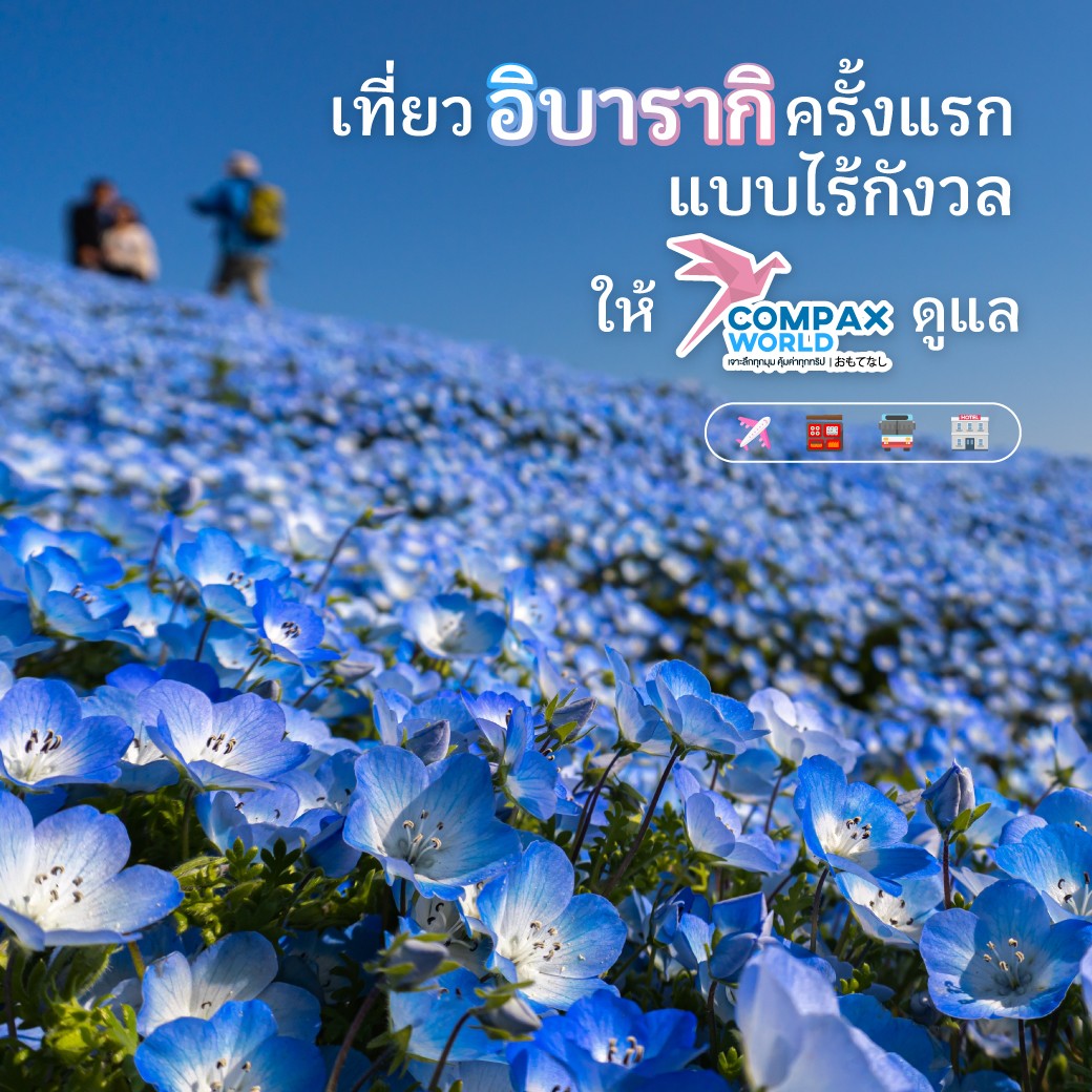 ทัวร์ญี่ปุ่น เที่ยวญี่ปุ่น โปรแกรมทัวร์ญี่ปุ่น